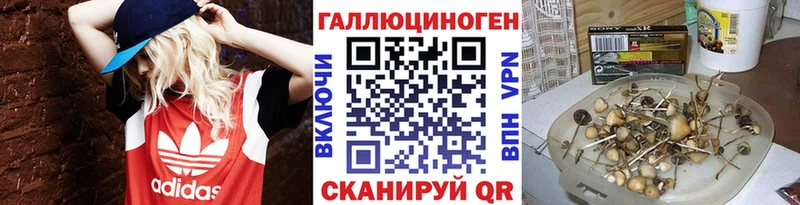 Псилоцибиновые грибы Magic Shrooms  Безенчук 